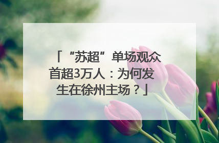 “苏超”单场观众首超3万人：为何发生在徐州主场？