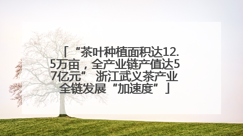 “茶叶种植面积达12.5万亩，全产业链产值达57亿元” 浙江武义茶产业全链发展“加速度”