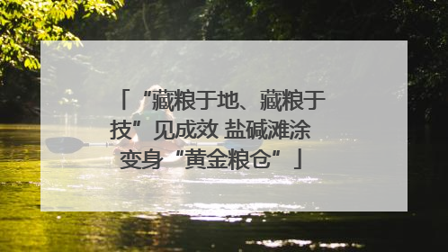 “藏粮于地、藏粮于技”见成效 盐碱滩涂变身“黄金粮仓”