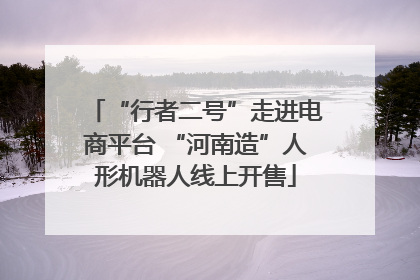“行者二号”走进电商平台 “河南造”人形机器人线上开售