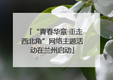 “青春华章·重走西北角”网络主题活动在兰州启动
