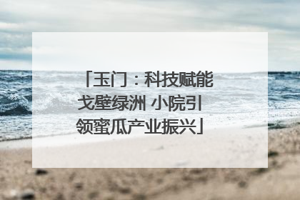 玉门：科技赋能戈壁绿洲 小院引领蜜瓜产业振兴