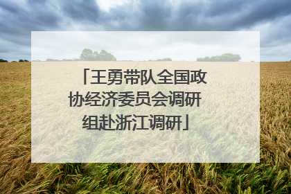 王勇带队全国政协经济委员会调研组赴浙江调研