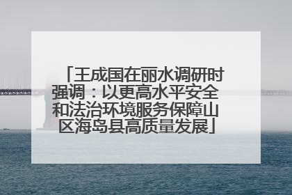 王成国在丽水调研时强调：以更高水平安全和法治环境服务保障山区海岛县高质量发展