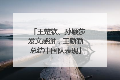 王楚钦、孙颖莎发文感谢，王励勤总结中国队表现