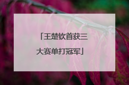 王楚钦首获三大赛单打冠军