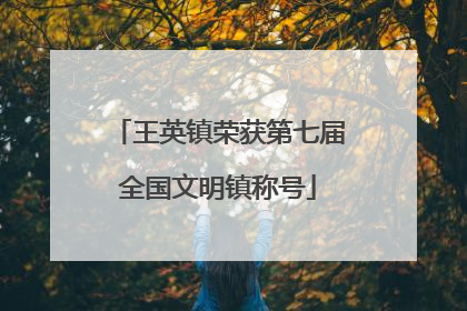 王英镇荣获第七届全国文明镇称号