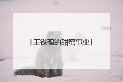 王铁强的甜蜜事业