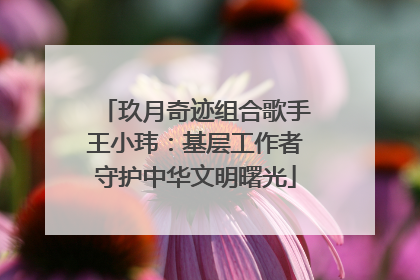 玖月奇迹组合歌手王小玮：基层工作者守护中华文明曙光