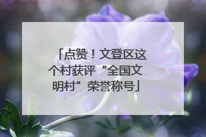 点赞！文登区这个村获评“全国文明村”荣誉称号