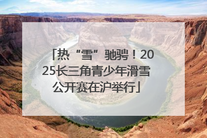 热“雪”驰骋！2025长三角青少年滑雪公开赛在沪举行