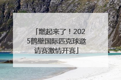 燃起来了！2025鹤壁国际匹克球邀请赛激情开赛