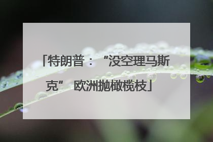 特朗普：“没空理马斯克” 欧洲抛橄榄枝
