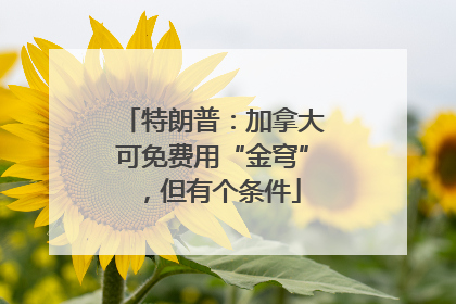 特朗普：加拿大可免费用“金穹”，但有个条件