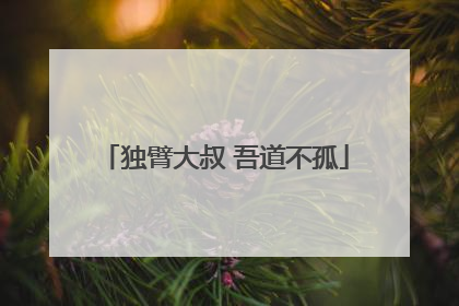独臂大叔 吾道不孤