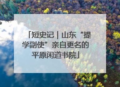 短史记｜山东“提学副使”亲自更名的平原闲道书院