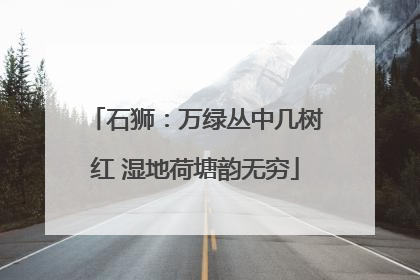 石狮：万绿丛中几树红 湿地荷塘韵无穷