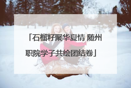 石榴籽聚华夏情 随州职院学子共绘团结卷