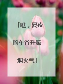 瞧，夏夜的车谷升腾烟火气