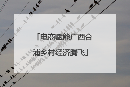 电商赋能广西合浦乡村经济腾飞