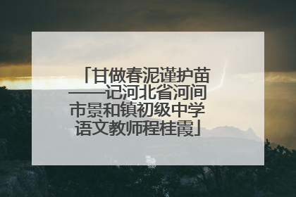 甘做春泥谨护苗——记河北省河间市景和镇初级中学语文教师程桂霞