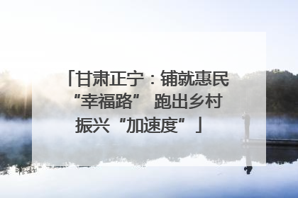 甘肃正宁：铺就惠民“幸福路” 跑出乡村振兴“加速度”