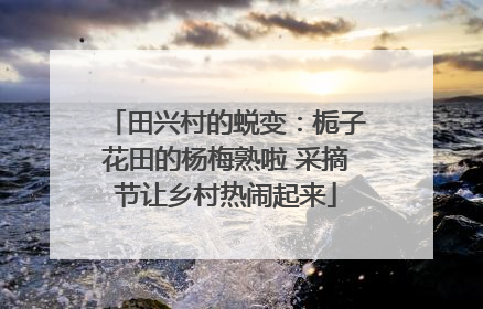 田兴村的蜕变：栀子花田的杨梅熟啦 采摘节让乡村热闹起来