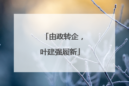 由政转企，叶建强履新