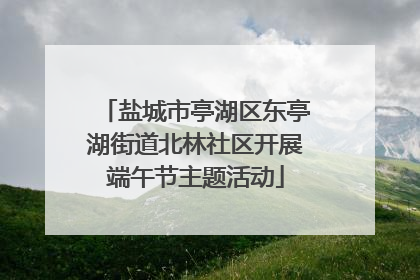 盐城市亭湖区东亭湖街道北林社区开展端午节主题活动