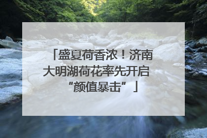 盛夏荷香浓！济南大明湖荷花率先开启“颜值暴击”