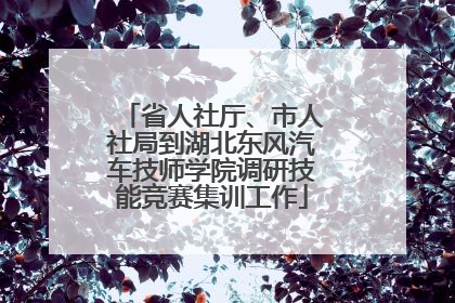 省人社厅、市人社局到湖北东风汽车技师学院调研技能竞赛集训工作