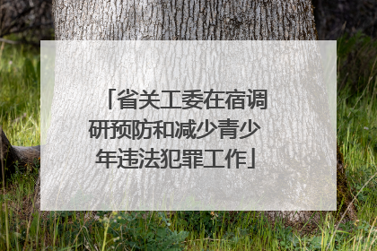 省关工委在宿调研预防和减少青少年违法犯罪工作