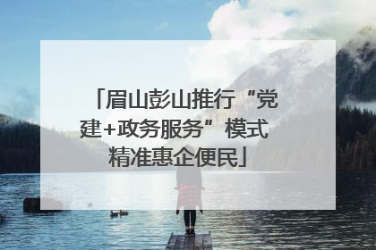 眉山彭山推行“党建+政务服务”模式 精准惠企便民