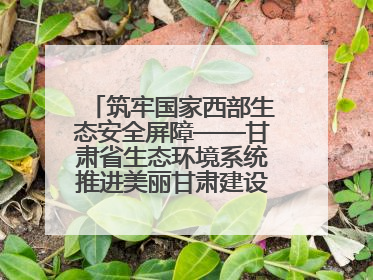 筑牢国家西部生态安全屏障——甘肃省生态环境系统推进美丽甘肃建设交出亮眼答卷