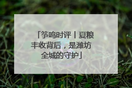 筝鸣时评丨夏粮丰收背后，是潍坊全城的守护