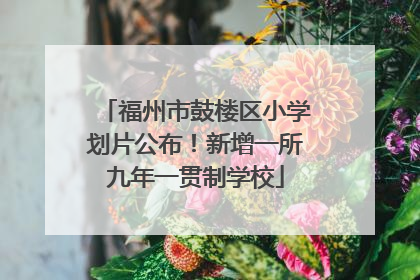 福州市鼓楼区小学划片公布！新增一所九年一贯制学校