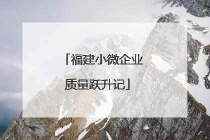福建小微企业质量跃升记