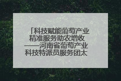 科技赋能葡萄产业 精准服务助农增收——河南省葡萄产业科技特派员服务团太康县科技服务纪实