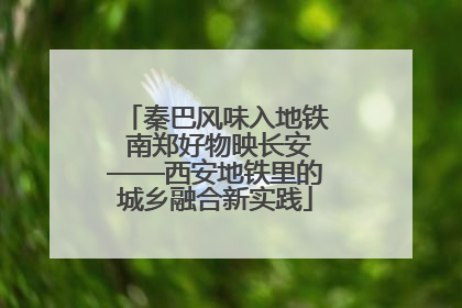 秦巴风味入地铁 南郑好物映长安——西安地铁里的城乡融合新实践