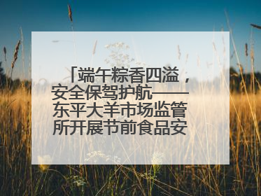 端午粽香四溢，安全保驾护航——东平大羊市场监管所开展节前食品安全专项检查