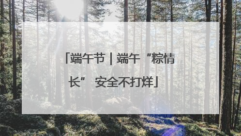 端午节｜端午“粽情长” 安全不打烊
