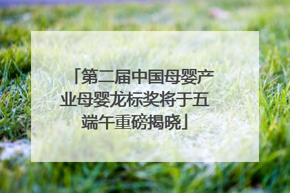 第二届中国母婴产业母婴龙标奖将于五端午重磅揭晓