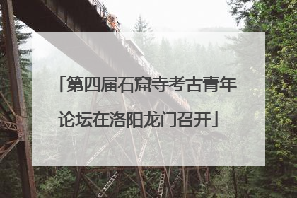 第四届石窟寺考古青年论坛在洛阳龙门召开
