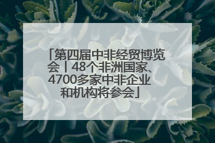 第四届中非经贸博览会丨48个非洲国家、4700多家中非企业和机构将参会