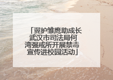 翼护雏鹰助成长 武汉市司法局何湾强戒所开展禁毒宣传进校园活动