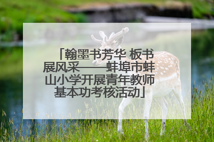 翰墨书芳华 板书展风采——蚌埠市蚌山小学开展青年教师基本功考核活动
