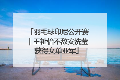 羽毛球印尼公开赛｜王祉怡不敌安洗莹 获得女单亚军