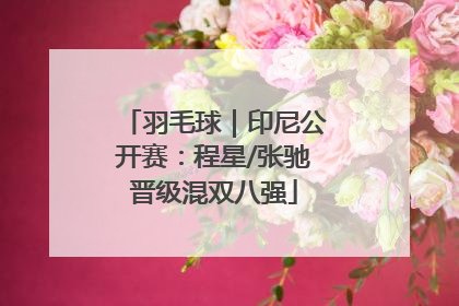 羽毛球｜印尼公开赛：程星/张驰晋级混双八强