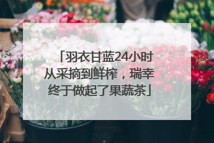 羽衣甘蓝24小时从采摘到鲜榨，瑞幸终于做起了果蔬茶