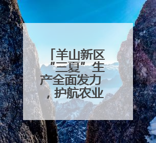 羊山新区“三夏”生产全面发力，护航农业稳产增收